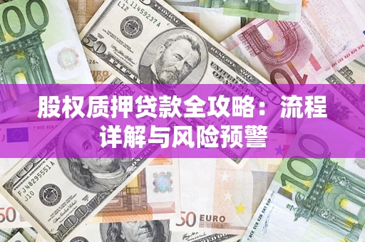 北京股权质押贷款全攻略：流程详解与风险预警