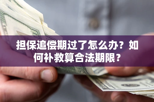 北京担保追偿期过了怎么办？如何补救算合法期限？