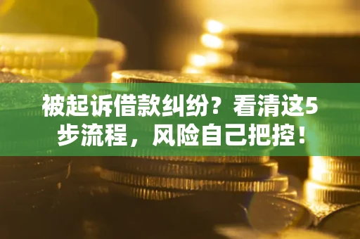 北京被起诉借款纠纷？看清这5步流程，风险自己把控！