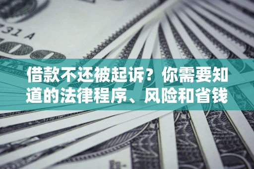 北京借款不还被起诉？你需要知道的法律程序、风险和省钱技巧