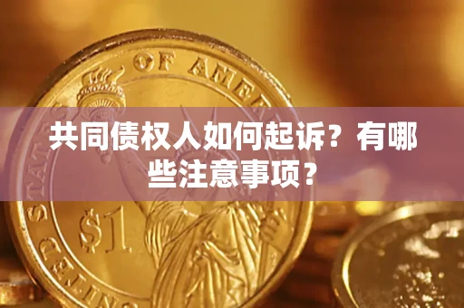 北京共同债权人如何起诉？有哪些注意事项？